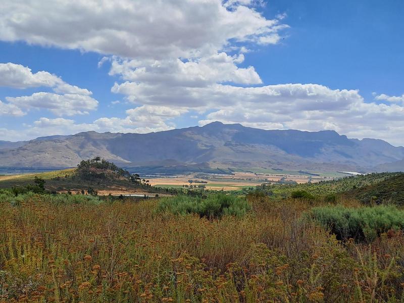 0 Bedroom Property for Sale in Wolseley Western Cape